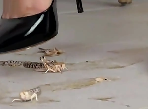 Sexy Alisa crushing locust with say no adjacent to black high heels.